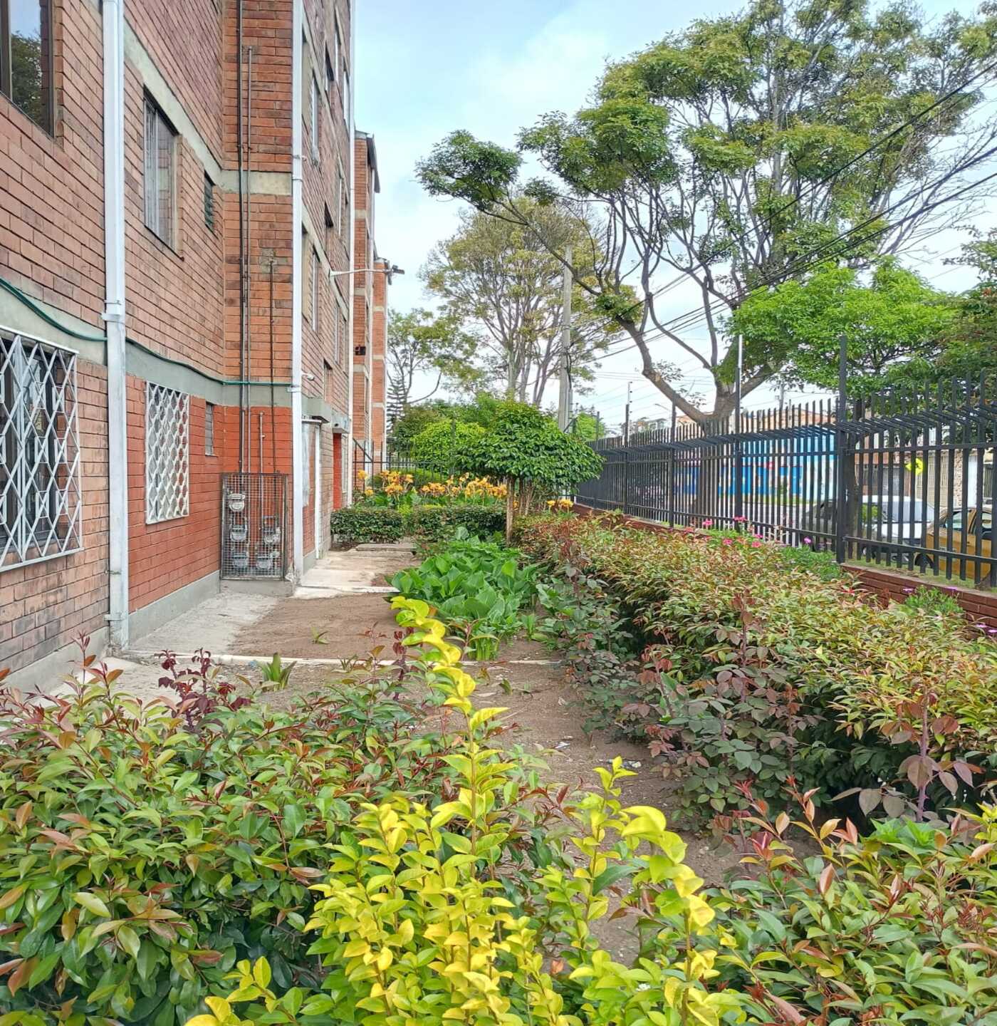 WhatsApp Image 2026-01-26 at 9.18.20 AM (3)